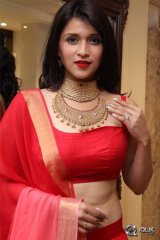 Mannara Chopra at Manepally Jewellers Uncut Diamond Mela Launch